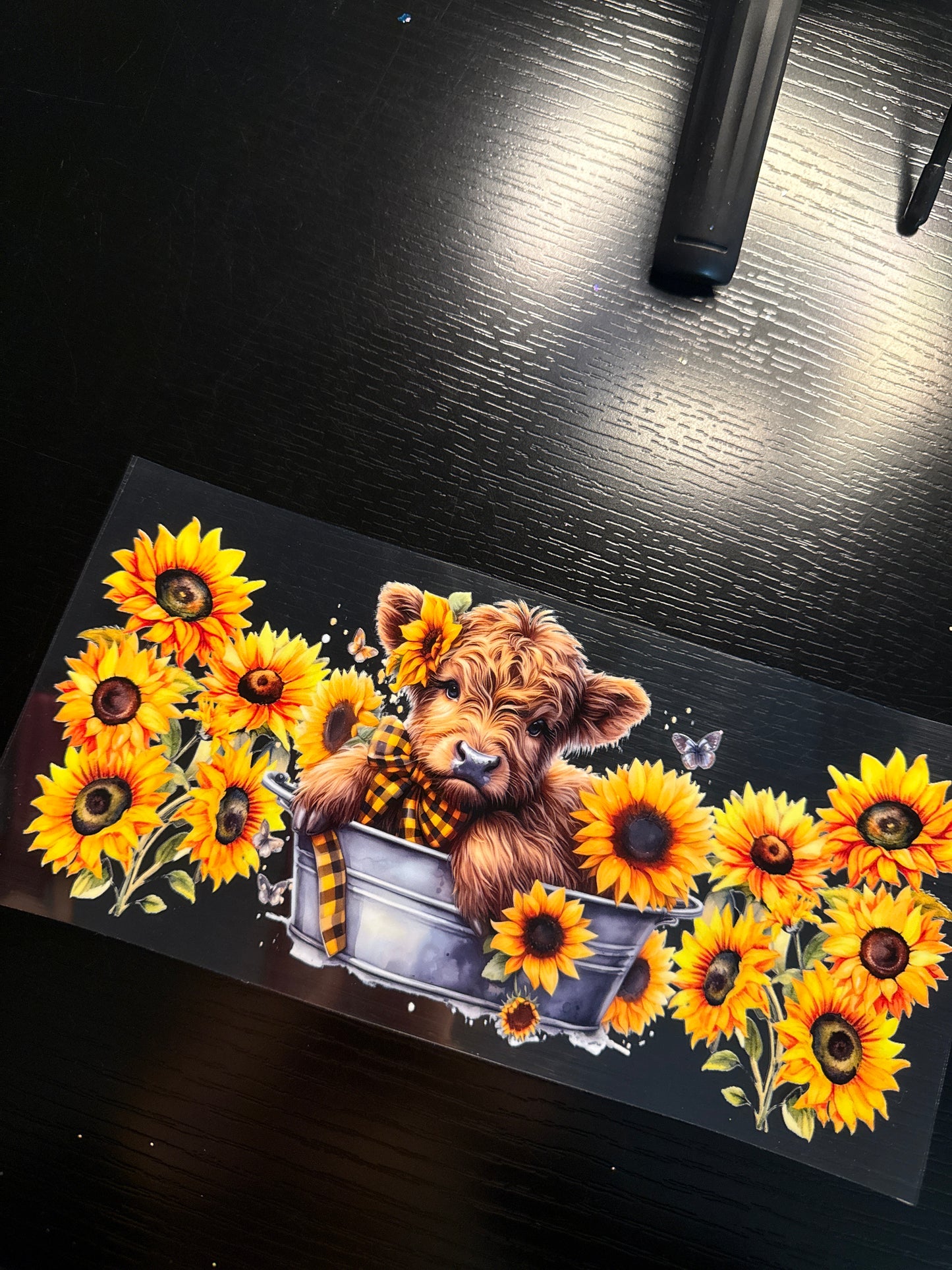 Cow x Sunflowers