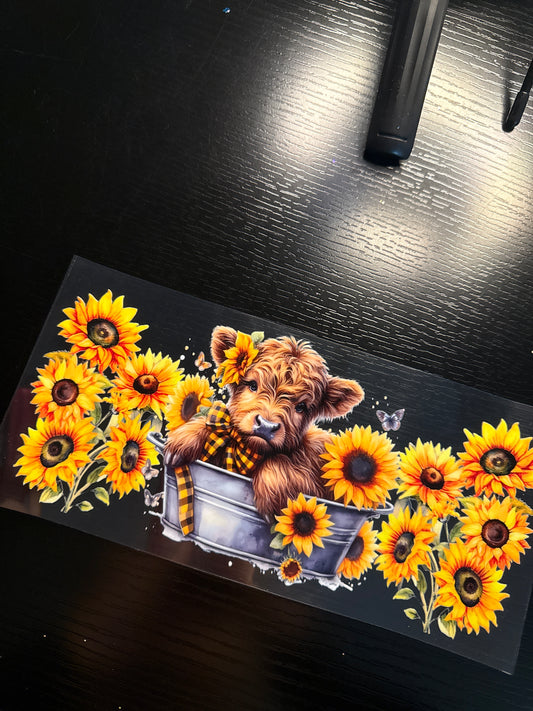 Cow x Sunflowers
